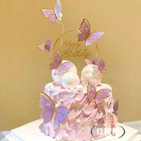 女士蛋糕蝴蝶A
