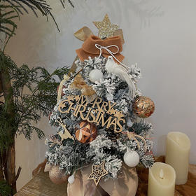 节日限定  氛围感仿真圣诞树  棕色系列