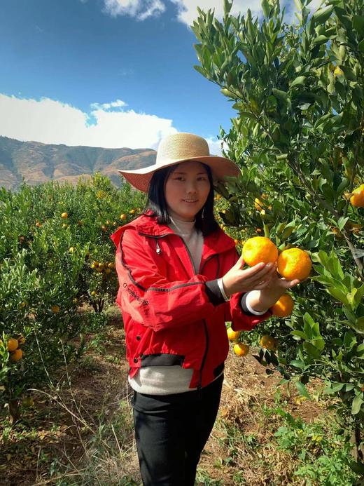 大理宾川椪柑 香甜可口 爆汁 现摘带叶 精选  包邮 商品图12