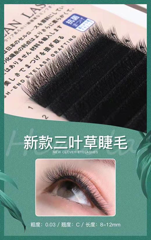 0.03.0.05三叶草睫毛B.C.D翘度+混合装11款可选 商品图1