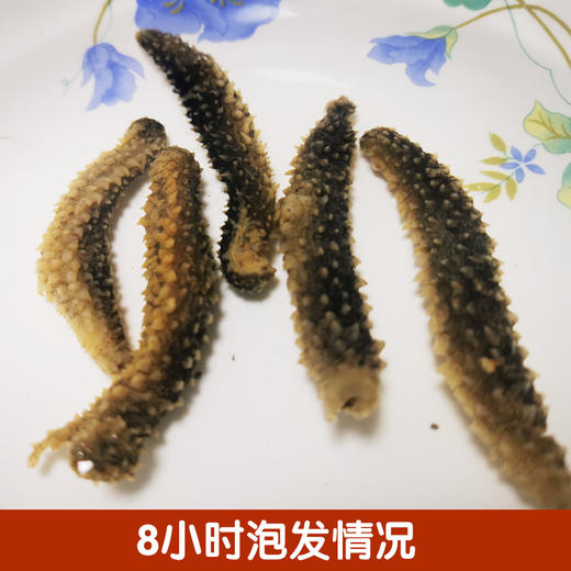 进口野生干海参（8支装/5-7cm） 商品图1