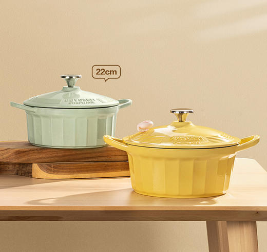 北鼎22CM珐琅锅铸铁煲汤家用焖炖锅多功能炒锅进口平底锅具电磁炉蒸锅 商品图0