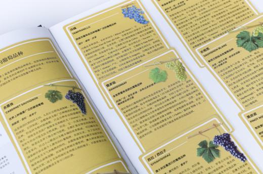 大口有书②：如果只读一本葡萄酒书 《世界葡萄酒地图 》50周年纪念版 商品图4