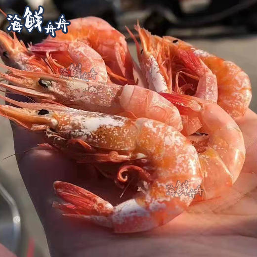 剑虾干 250克 商品图1