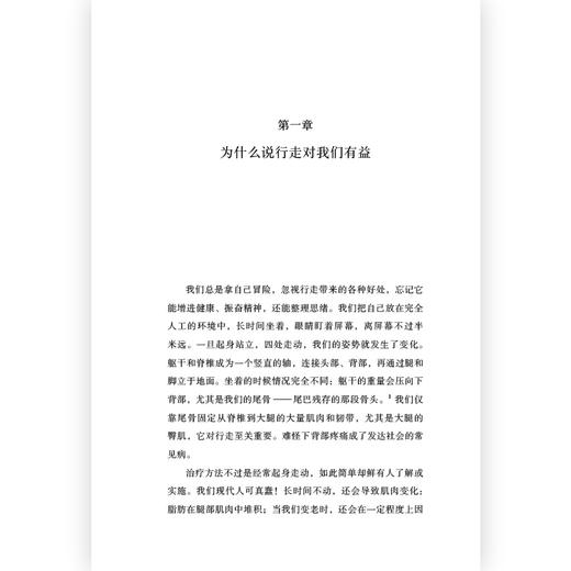 我们为什么要行走 商品图1