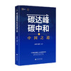 碳达峰碳中和的中国之道 庄贵阳 著 透视碳达峰碳中和解码中国低碳发展之路 商品缩略图0