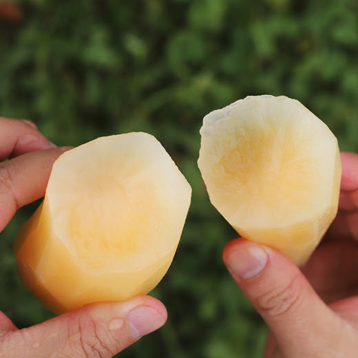 云南高山雪莲果   果肉清甜爽脆   汁水充盈    口感脆嫩多汁  果肉晶莹剔透    气泡柱装   包邮 商品图5