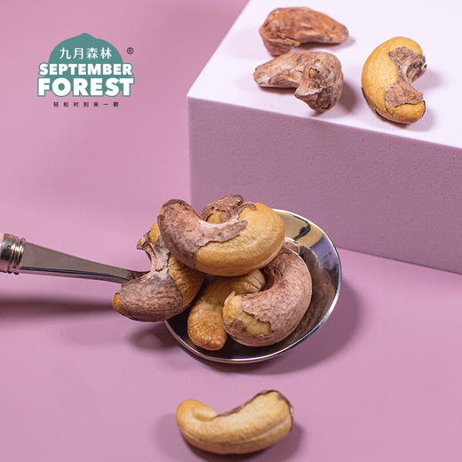 九月森林紫皮腰果2021年新货盐焗味大果仁500g罐装孕妇干果 商品图0