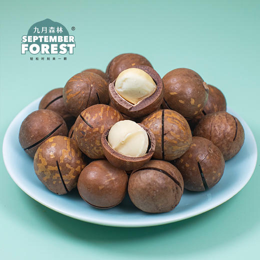 九月森林夏威夷果500g罐装奶香味新货干果孕妇儿童坚果 商品图3