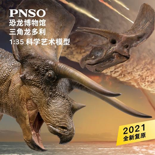 PNSO新版三角龙多利附三角龙头骨恐龙博物馆1比35科学艺术模型 商品图0