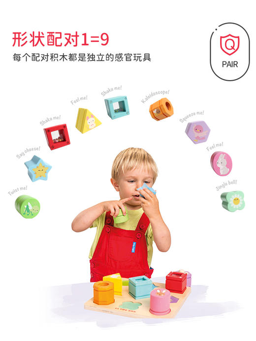 LE TOY VAN品牌"Petilou Sensory Shapes  多感官形状配对积木" 商品图2