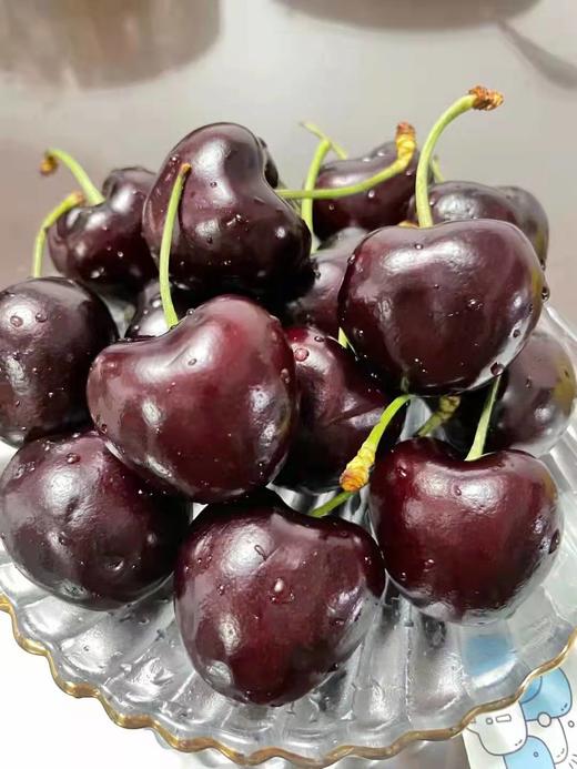 3j智利车厘子品种santina加大加黑颗颗饱满果肉细腻多汁甜美味浓营养