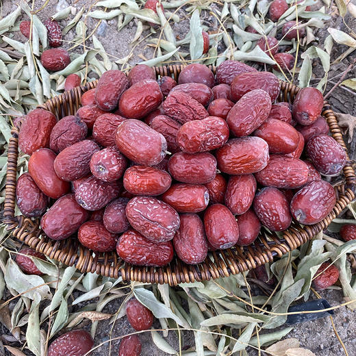 新枣【新疆若羌灰枣】自然吊干，肉厚核小，甜蜜，带灰原枣，诚邀您的支持转发，让好枣走出大西北！ 商品图4