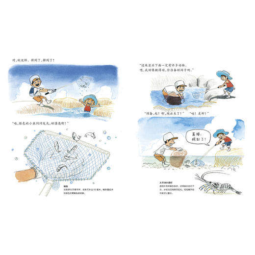【爱护自然系列】一起在海边探险 商品图2