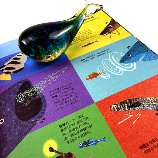 【爱护自然系列】无处不在的鱼 商品图3