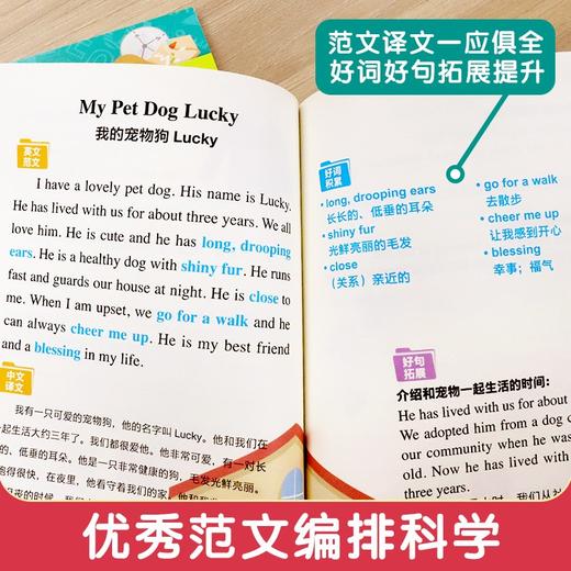 小学生英语作文.3~6年级适用(全2册) 商品图4