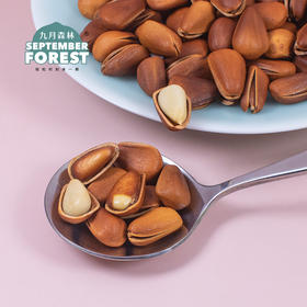 九月森林开口松子500g东北长白山松子2021年炒货孕妇大颗粒罐装