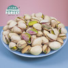 九月森林新货开心果罐装干果孕妇坚果500g无添加大颗粒盐焗味 商品缩略图3