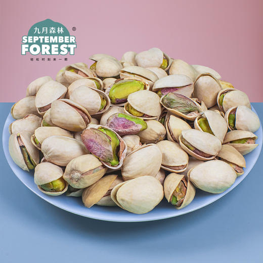 九月森林新货开心果罐装干果孕妇坚果500g无添加大颗粒盐焗味 商品图3