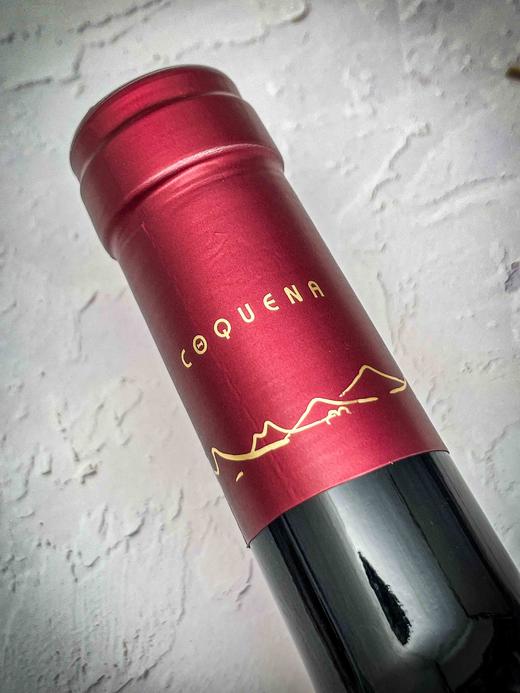 佳乐美极致庄园马尔贝克干红葡萄酒 商品图4