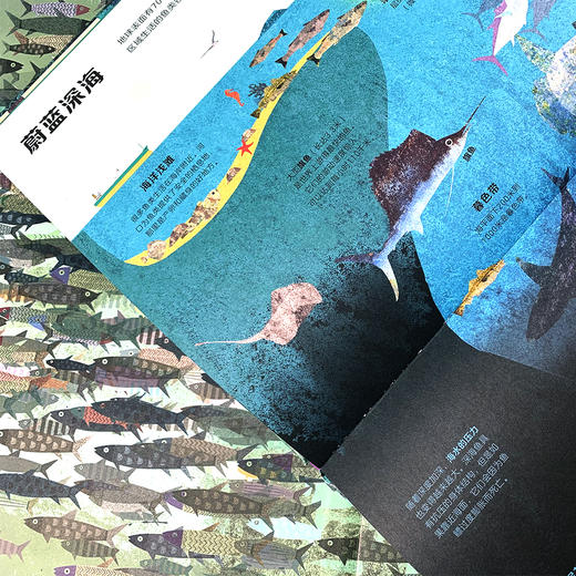 【爱护自然系列】无处不在的鱼 商品图4