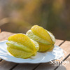 清香多汁淡甜 软枝杨桃4.5-5斤装 京东快递 商品缩略图11