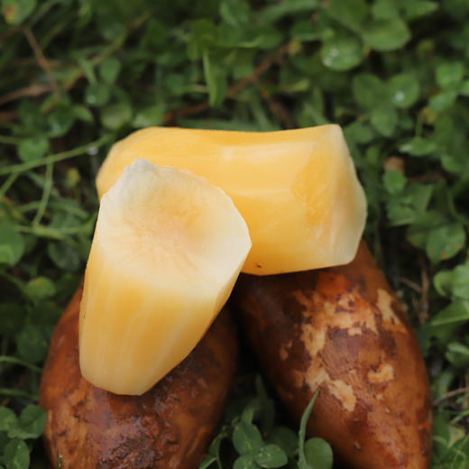 云南高山雪莲果   果肉清甜爽脆   汁水充盈    口感脆嫩多汁  果肉晶莹剔透    气泡柱装   包邮 商品图3