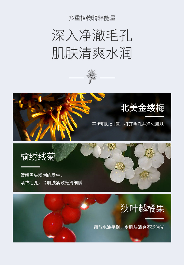 玫瑰诗蜜金缕梅肌肽面膜25gml10片