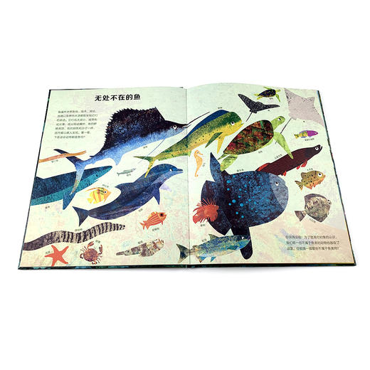 【爱护自然系列】无处不在的鱼 商品图2