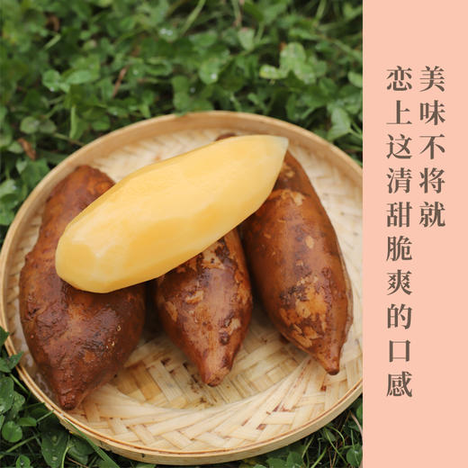 云南高山雪莲果   果肉清甜爽脆   汁水充盈    口感脆嫩多汁  果肉晶莹剔透    气泡柱装   包邮 商品图0