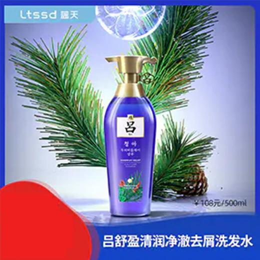 吕舒盈清润净澈去屑洗发水500ml（21000300）【21000300】 商品图0