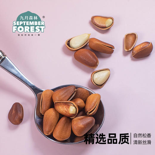九月森林开口松子500g东北长白山松子2021年炒货孕妇大颗粒罐装 商品图4