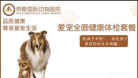 宠物健康全面体检套餐