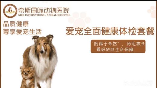 宠物健康全面体检套餐 商品图0