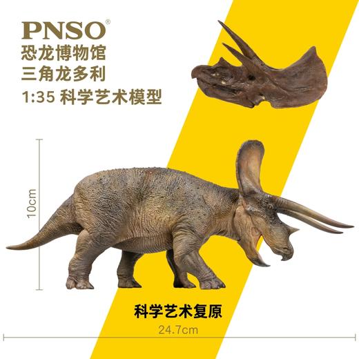 PNSO新版三角龙多利附三角龙头骨恐龙博物馆1比35科学艺术模型 商品图1