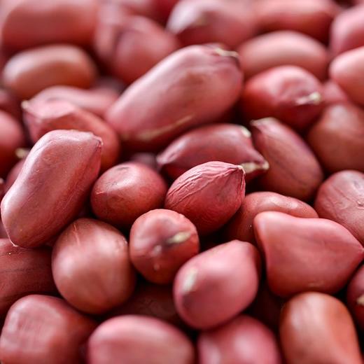 红花生米（散装）500g 商品图3