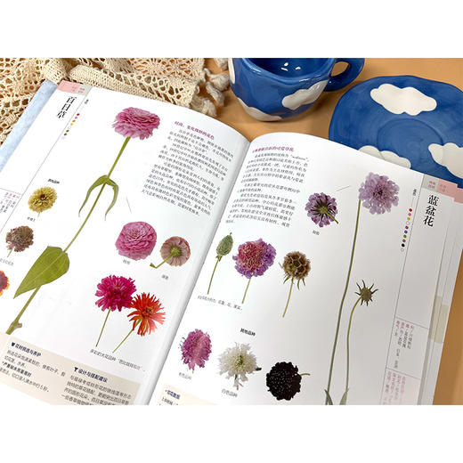 花艺设计花材使用手册 商品图3