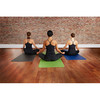 瑞士爱力calyana瑜伽垫 AIREX专业训练垫 初学者防滑普拉提健身垫 商品缩略图2