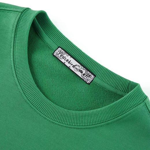 太平鸟男装  2021年冬季新款圆领套头卫衣B2BFB4379 商品图3