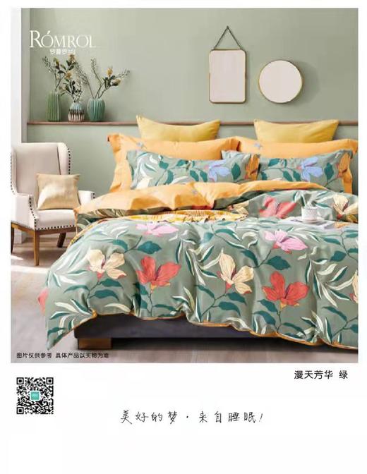 5F罗曼罗兰棉四件套200*230cm 商品图0