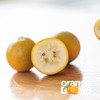 价格大跳水，最后一周！高甜度浓郁脆皮金桔  吃完满嘴清香 顺丰快递 商品缩略图2