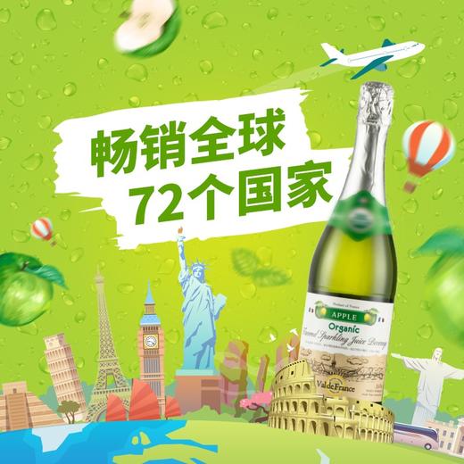 沃迪安含气青苹果味苹果汁饮料750ml 商品图4