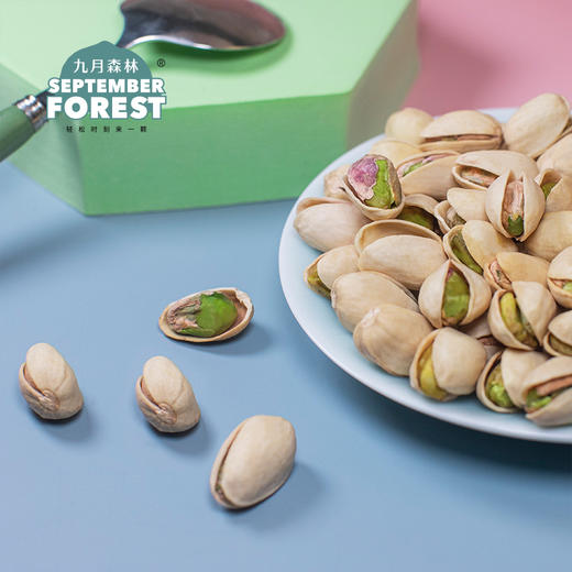 九月森林新货开心果罐装干果孕妇坚果500g无添加大颗粒盐焗味 商品图1