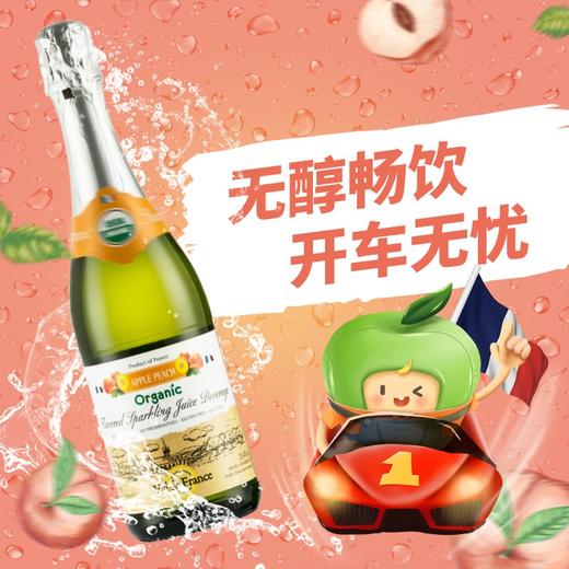 沃迪安含气水蜜桃味苹果汁饮料750ml 商品图5