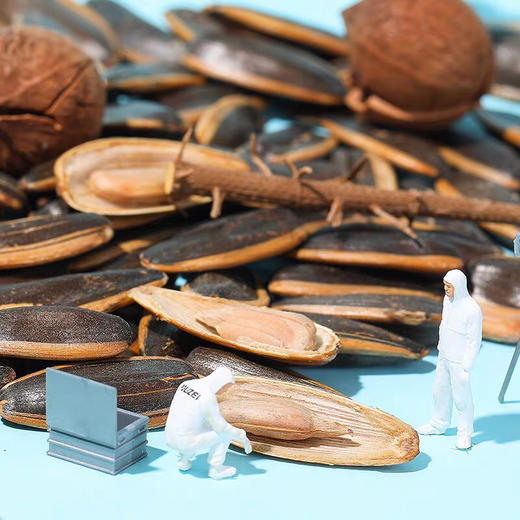 洽洽毛磕瓜子 400g /包 商品图5