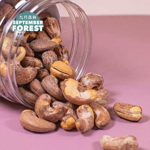 九月森林紫皮腰果2021年新货盐焗味大果仁500g罐装孕妇干果 商品图3