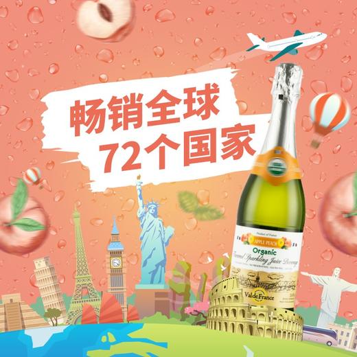沃迪安含气水蜜桃味苹果汁饮料750ml 商品图4
