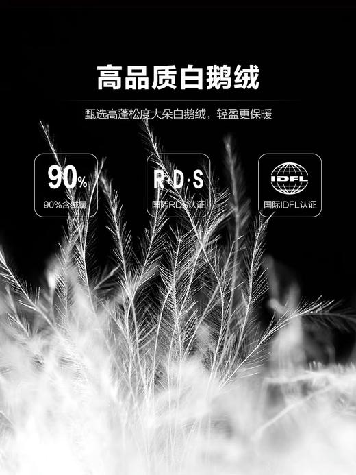 PEACEBIRD太平鸟男装2021冬新款鹅绒羽绒服BYACB4G14 商品图1