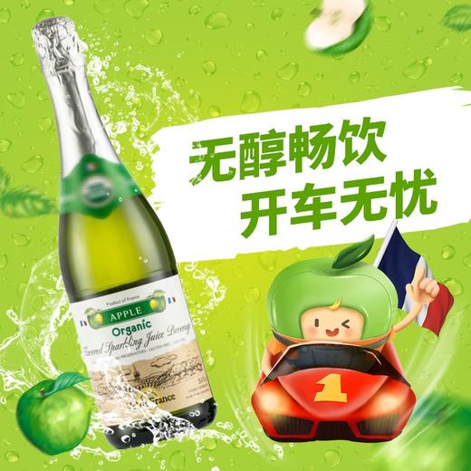 沃迪安含气青苹果味苹果汁饮料750ml 商品图5