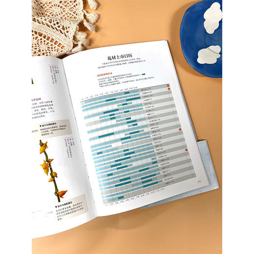 花艺设计花材使用手册 商品图4